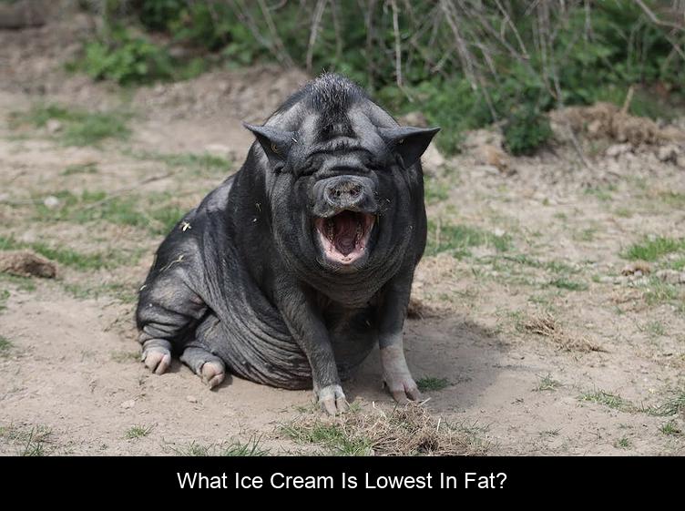 What ice cream is lowest in fat?