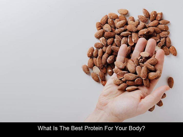 What is the best protein for your body?